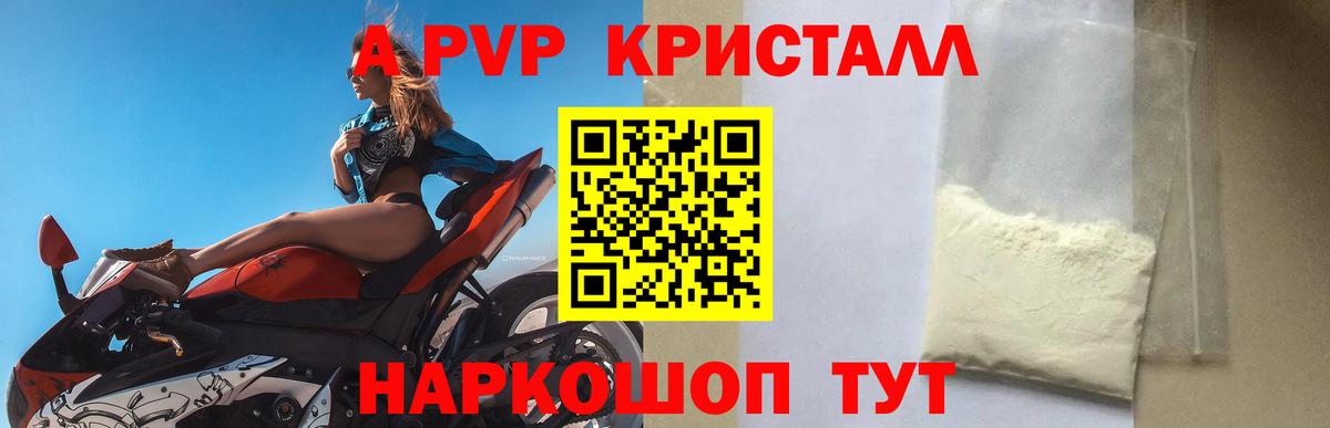 A-PVP СК КРИС Ленинск-Кузнецкий