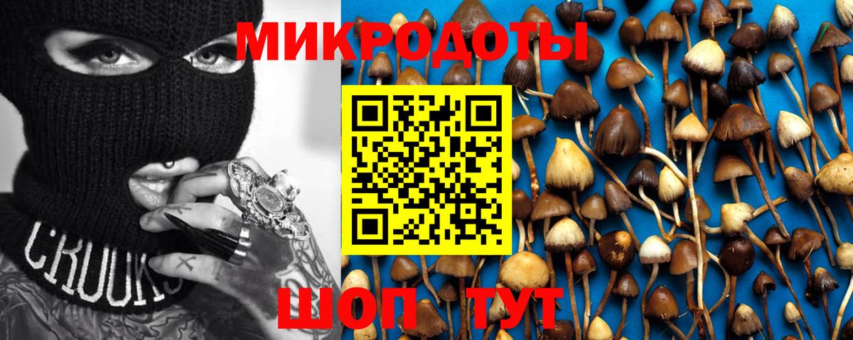Ленинск-Кузнецкий  сколько стоит  Вход с VPN  Галлюциногенные грибы Cubensis 