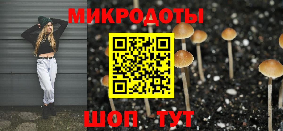 Псилоцибиновые грибы Psilocybine cubensis Ленинск-Кузнецкий